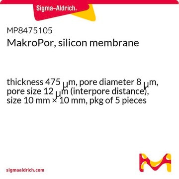 MakroPor, silicon membrane thickness 475&#160;&#956;m, pore diameter 8&#160;&#956;m, pore size 12&#160;&#956;m (interpore distance), size 10&#160;mm × 10&#160;mm, pkg of 5&#160;pieces