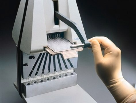 MultiScreen Disposable Punch Tips These disposable punch tips are used for Radionucleotide counting by transfer of individual filters to tubes.