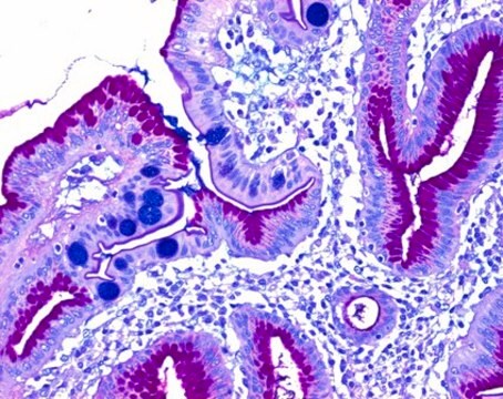 Pararosaniline (chloride) (C.I. 42500) for microscopy Certistain&#174;