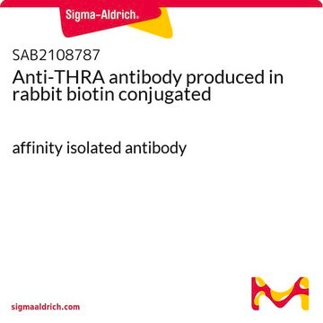 Anti-THRA antibody produced in rabbit biotin conjugated affinity isolated antibody