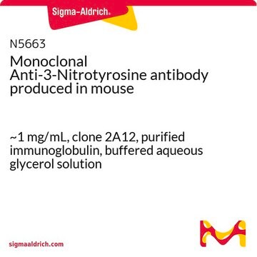 Monoclonal Anti-3-Nitrotyrosine antibody produced in mouse ~1&#160;mg/mL, clone 2A12, purified immunoglobulin, buffered aqueous glycerol solution