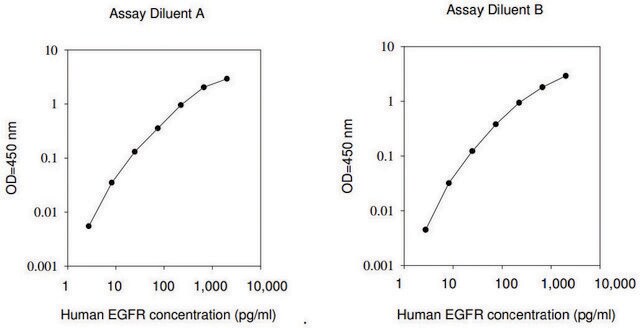 Human EGFR / ErbB1 ELISA Kit for serum, plasma, cell culture supernatants and urine