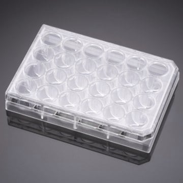 Corning&#174; Primaria Cell Culture Plate size 24&#160;well