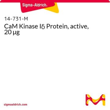 CaM Kinase I&#948; Protein, active, 20 &#181;g