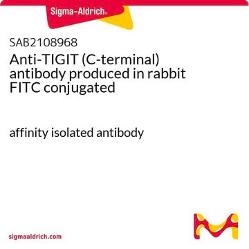 Anti-TIGIT (C-terminal) antibody produced in rabbit FITC conjugated affinity isolated antibody