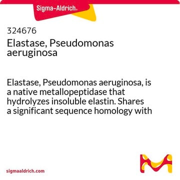 Elastase, Pseudomonas aeruginosa Elastase, Pseudomonas aeruginosa, is a native metallopeptidase that hydrolyzes insoluble elastin. Shares a significant sequence homology with thermolysin.