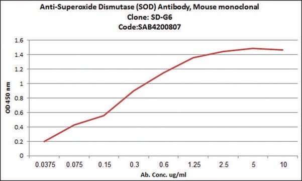 Anti-Superoxide Dismutase (SOD) antibody, Mouse monoclonal clone SD-G6, purified from hybridoma cell culture