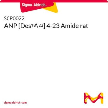 ANP [Des18-22] 4-23 Amide rat