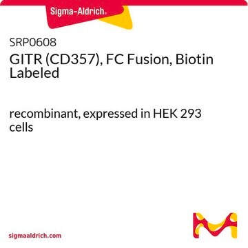 GITR (CD357), FC Fusion, Biotin Labeled recombinant, expressed in HEK 293 cells