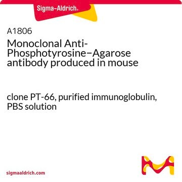 Monoclonal Anti-Phosphotyrosine&#8722;Agarose antibody produced in mouse clone PT-66, purified immunoglobulin, PBS solution