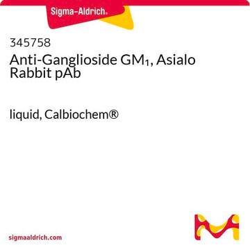 Anti-Ganglioside GM&#8321;, Asialo Rabbit pAb liquid, Calbiochem&#174;