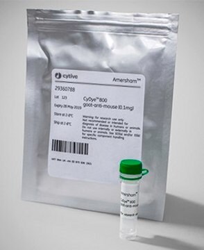 CyDye&#8482; NIR-labelled secondary antibody 800 nm, pkg of 0.5&#160;mg, Cytiva 29360789