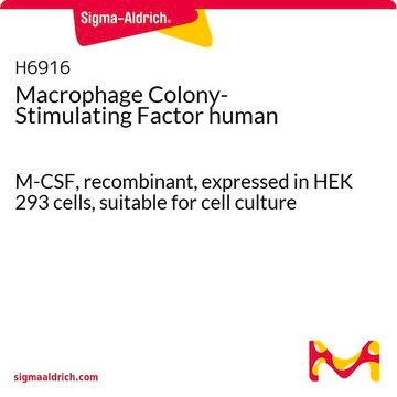 Macrophage Colony-Stimulating Factor human M-CSF, recombinant, expressed in HEK 293 cells, suitable for cell culture