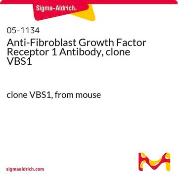 Anti-Fibroblast Growth Factor Receptor 1 Antibody, clone VBS1 clone VBS1, from mouse