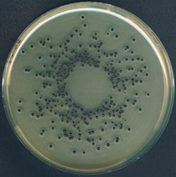 Egg yolk Tellurite Emulsion suitable for microbiology