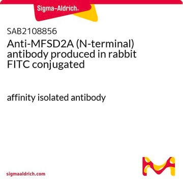 Anti-MFSD2A (N-terminal) antibody produced in rabbit FITC conjugated affinity isolated antibody