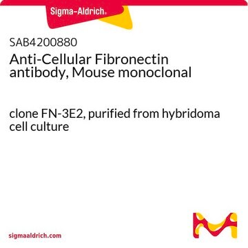 Anti-Cellular Fibronectin antibody, Mouse monoclonal clone FN-3E2, purified from hybridoma cell culture