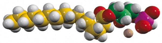 16:0 LPA (U-13C) Avanti Research&#8482; - A Croda Brand