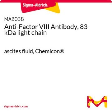 Anti-Factor VIII Antibody, 83 kDa light chain ascites fluid, Chemicon&#174;