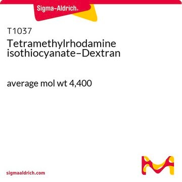 Tetramethylrhodamine isothiocyanate–Dextran average mol wt 4,400