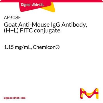 Goat Anti-Mouse IgG Antibody, (H+L) FITC conjugate 1.15&#160;mg/mL, Chemicon&#174;