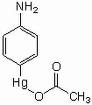 p-Aminophenylmercuric Acetate An organomercurial agent used for the activation of latent MMPs in vitro. Acts by facilitating the loss of the enzyme propeptide domain through an autolytic cleavage known as the cysteine switch.