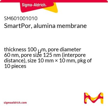 SmartPor, alumina membrane thickness 100&#160;&#956;m, pore diameter 60&#160;nm, pore size 125&#160;nm (interpore distance), size 10&#160;mm × 10&#160;mm, pkg of 10&#160;pieces