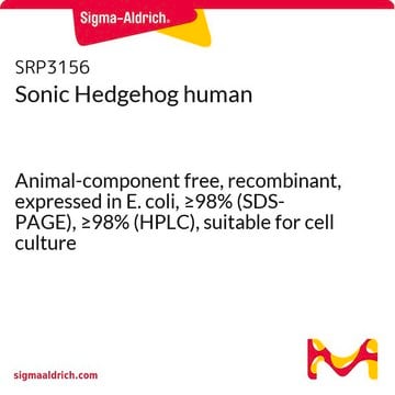 Sonic Hedgehog human Animal-component free, recombinant, expressed in E. coli, &#8805;98% (SDS-PAGE), &#8805;98% (HPLC), suitable for cell culture