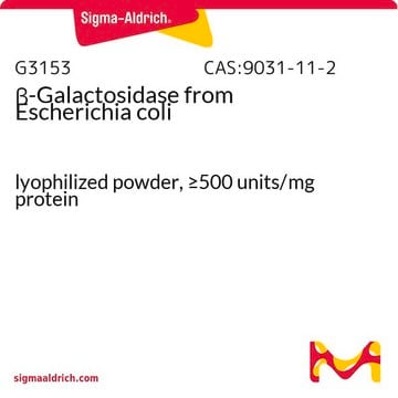 &#946;-ガラクトシダーゼ 大腸菌由来 lyophilized powder, &#8805;500&#160;units/mg protein