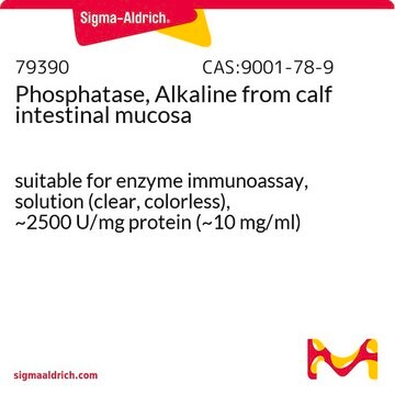 Phosphatase, Alkaline from calf intestinal mucosa suitable for enzyme immunoassay, solution (clear, colorless), ~2500&#160;U/mg protein (~10 mg/ml)