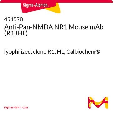 Anti-Pan-NMDA NR1 Mouse mAb (R1JHL) lyophilized, clone R1JHL, Calbiochem&#174;