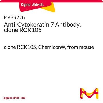 Anti-Cytokeratin 7 Antibody, clone RCK105 clone RCK105, Chemicon&#174;, from mouse