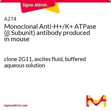 Monoclonal Anti-H+/K+ ATPase (&#946; Subunit) antibody produced in mouse clone 2G11, ascites fluid, buffered aqueous solution