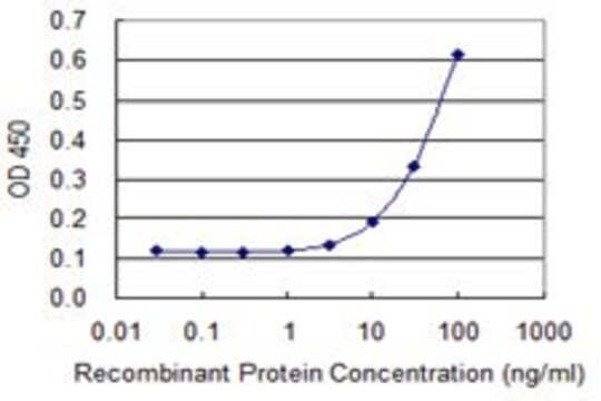 Monoclonal Anti-GRIA3 antibody produced in mouse clone 3D10, purified immunoglobulin, buffered aqueous solution