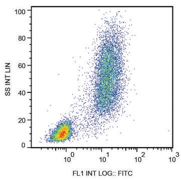 Monoclonal Anti-CD13 antibody produced in mouse clone WM15, purified immunoglobulin, buffered aqueous solution