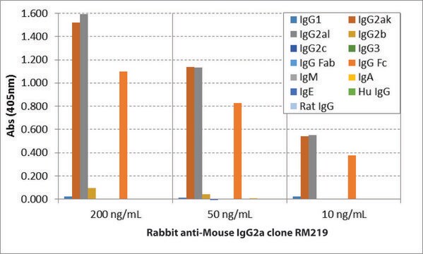 Anti-Mouse IgG2a-Biotin antibody, Rabbit monoclonal recombinant, expressed in HEK 293 cells, clone RM219, purified immunoglobulin