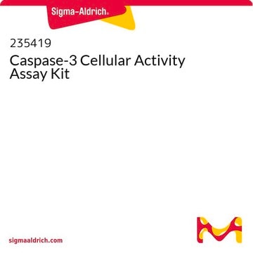 Caspase-3 Cellular Activity Assay Kit