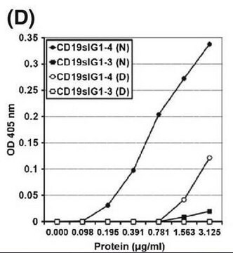 Anti-Human B cells (CD19) Antibody, clone FMC63 clone FMC63, Chemicon&#174;, from mouse