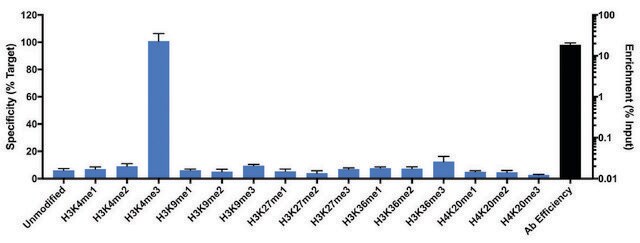 Anti-Trimethyl-Histone H3 (Lys4) antibody, Rabbit monoclonal recombinant, expressed in HEK 293 cells, clone RM340, purified immunoglobulin