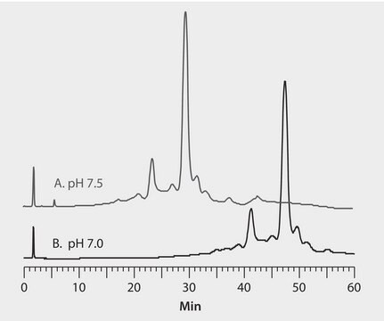 HPLC Analysis of mAb-X22 on Antibodix&#174; WCX-NP10, Impact of Mobile Phase pH application for HPLC