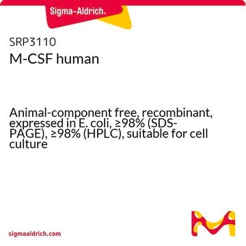 M-CSF human Animal-component free, recombinant, expressed in E. coli, &#8805;98% (SDS-PAGE), &#8805;98% (HPLC), suitable for cell culture