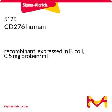 CD276 human recombinant, expressed in E. coli, 0.5&#160;mg protein/mL