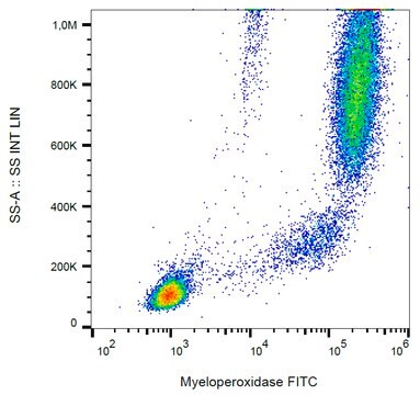 Monoclonal Anti-Myeloperoxidase FITC produced in mouse