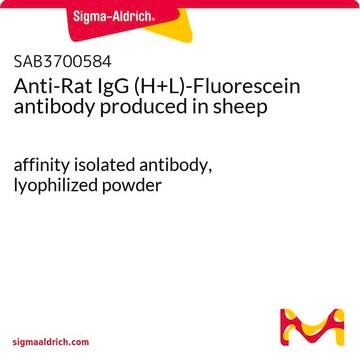 Anti-Rat IgG (H+L)-Fluorescein antibody produced in sheep affinity isolated antibody, lyophilized powder