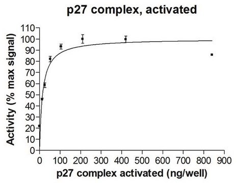 p27 Protein complex, activated, 10 &#181;g Activated complex of three (3) full length, recombinant human proteins: p27, Cyclin E1, &amp; CDK2. Phosphorylated in vitro using CDK2/Cyclin E1. For use in Enzyme Assays. Behaves as a substrate in ubiquitin assays.