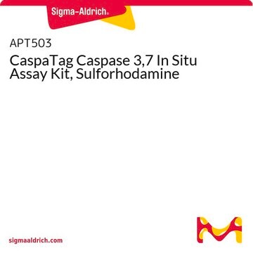 CaspaTag Caspase 3,7 In Situ Assay Kit, Sulforhodamine