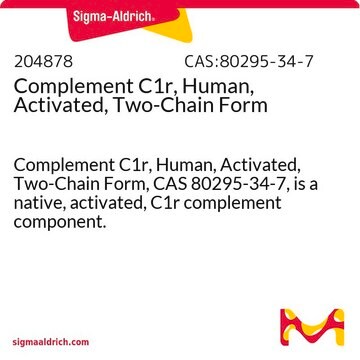 Complement C1r, Human, Activated, Two-Chain Form Complement C1r, Human, Activated, Two-Chain Form, CAS 80295-34-7, is a native, activated, C1r complement component.