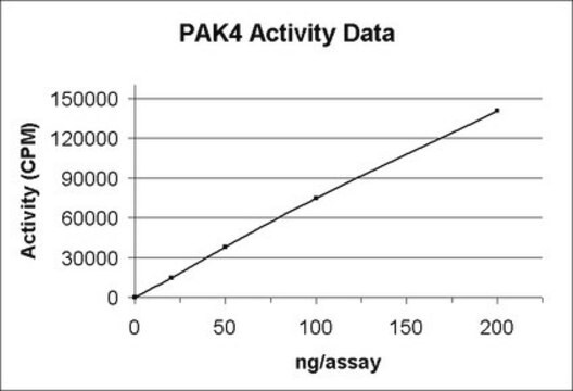 PAK4 Protein, active, 10 &#181;g Active, N-terminal His6 &amp; N-terminal GST-tagged, recombinant, human PAK4 amino acids 295-end, for use in Kinase Assays.