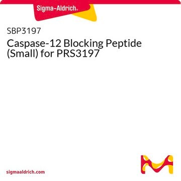 Caspase-12 Blocking Peptide (Small) for PRS3197