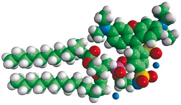 14:0 Liss Rhod PE Avanti Research&#8482; - A Croda Brand 810157P, powder